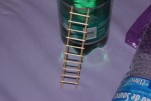 IMG 0422