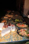 IMG 0392