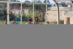 IMG 0726