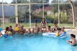 IMG 0718