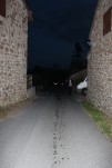IMG 1652