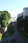 IMG 0298