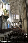 IMG 0294